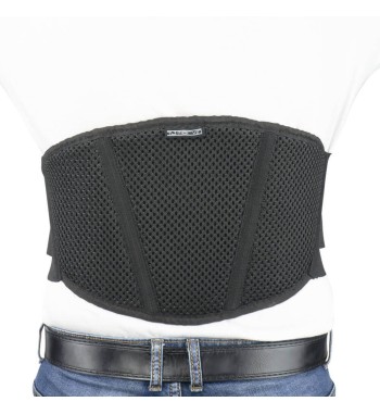 PROBELT A31 / Negro