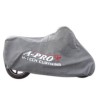 SUNDUST-PRO / Gris